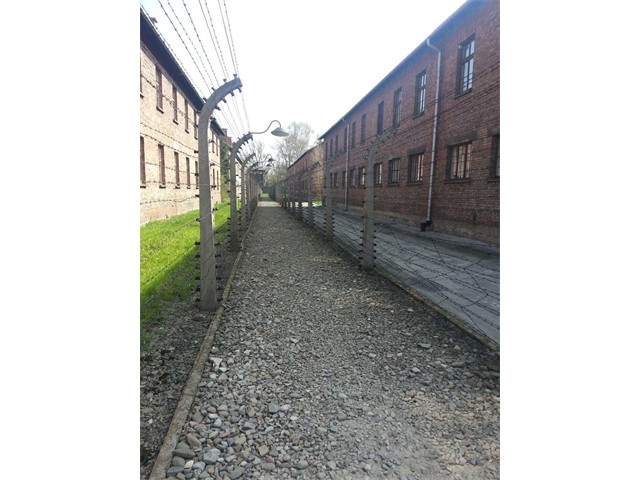8.  Auschwitz I. Système concentrationnaire.(FILEminimizer)