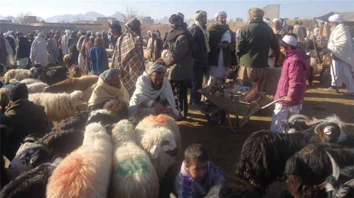 Le marché de Shindand City où sont achetées les chèvres avant d'être confiées aux femmes du projet Karadah.
